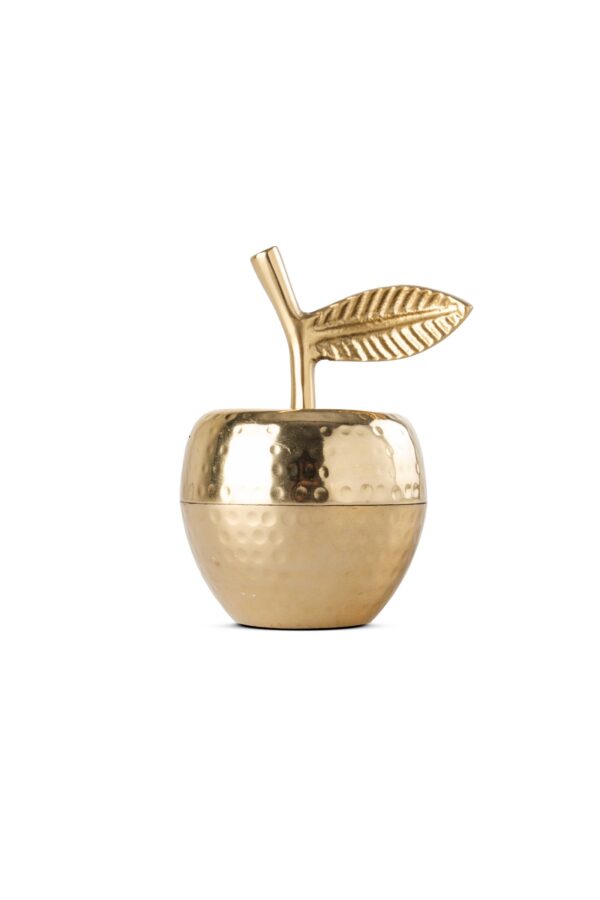 HAN-10 METAL ELMA KUTU