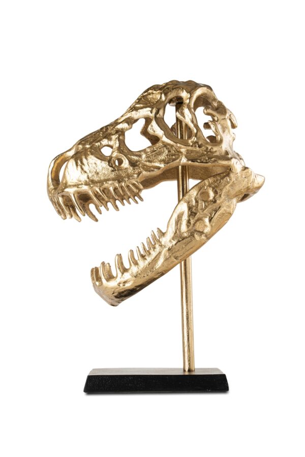 HAN-19 METAL DİNOZOR BAŞI