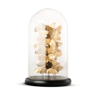 YF1910113 CAM FANUS OBJE