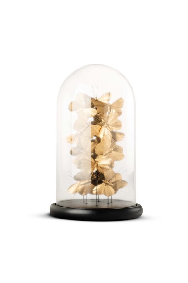 YF1910113 CAM FANUS OBJE