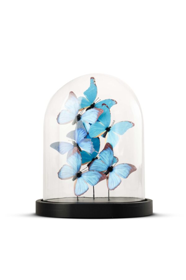 YF213012 CAM FANUS OBJE