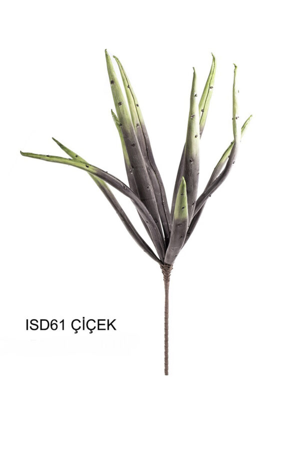 ISD61 ÇİÇEK